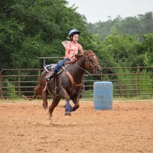 Meet your Posher, Bobby